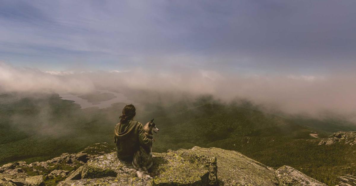 10 Best Blender Brands for Smoothies (Proven Picks) 2026