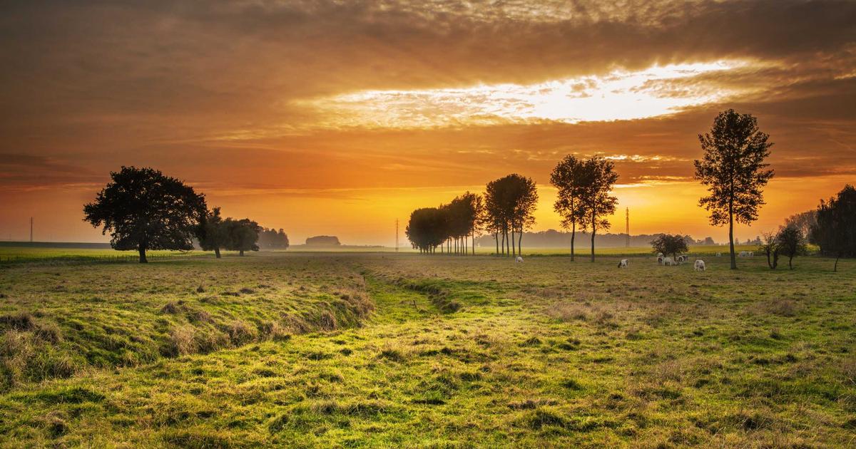 Essential Superfoods for Your Health Drinks in 2026