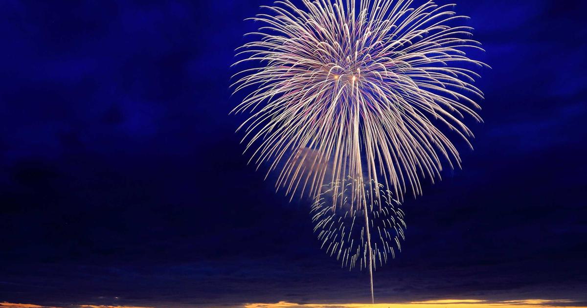 Low Histamine Smoothies: 5 Gut-Friendly Recipes That Actually Taste Good