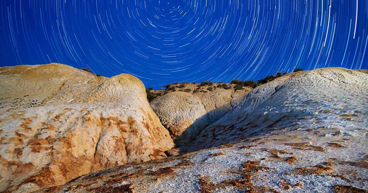 Milk Thistle Tea Benefits: Liver Support, Dosage, and Safety