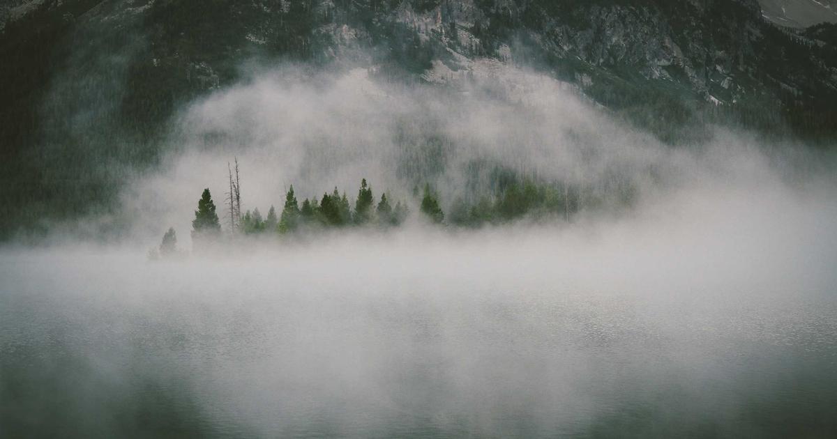 Theanine Lemon Balm Tea: Dosage, Timing, and Safety (Real-World Guide)